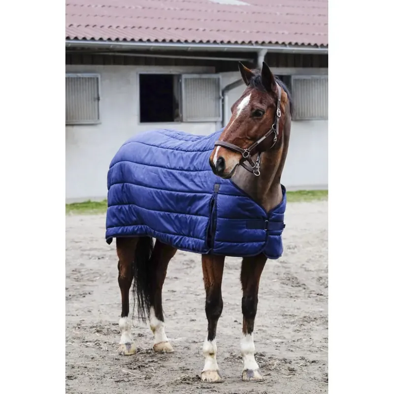 Enkel retur | Undercover för hästar Equithème Classic 50 g