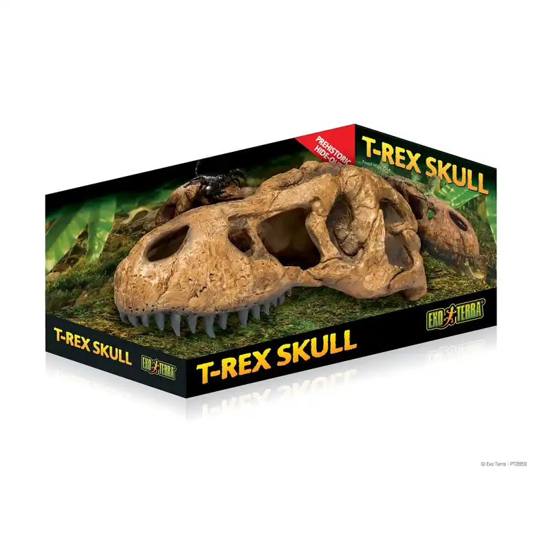 Fynd - Dekorationssats för fossilskydd Exo Terra T-Rex Skull