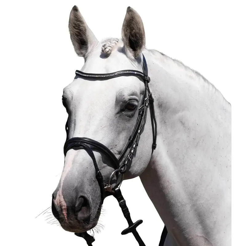 Tryggt köp | Ridhuvud Premier Equine Rivere