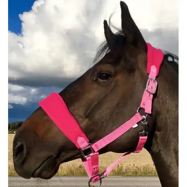 Bästa pris - Manolito Nylongrimma fleecepaddad rosa/cerise