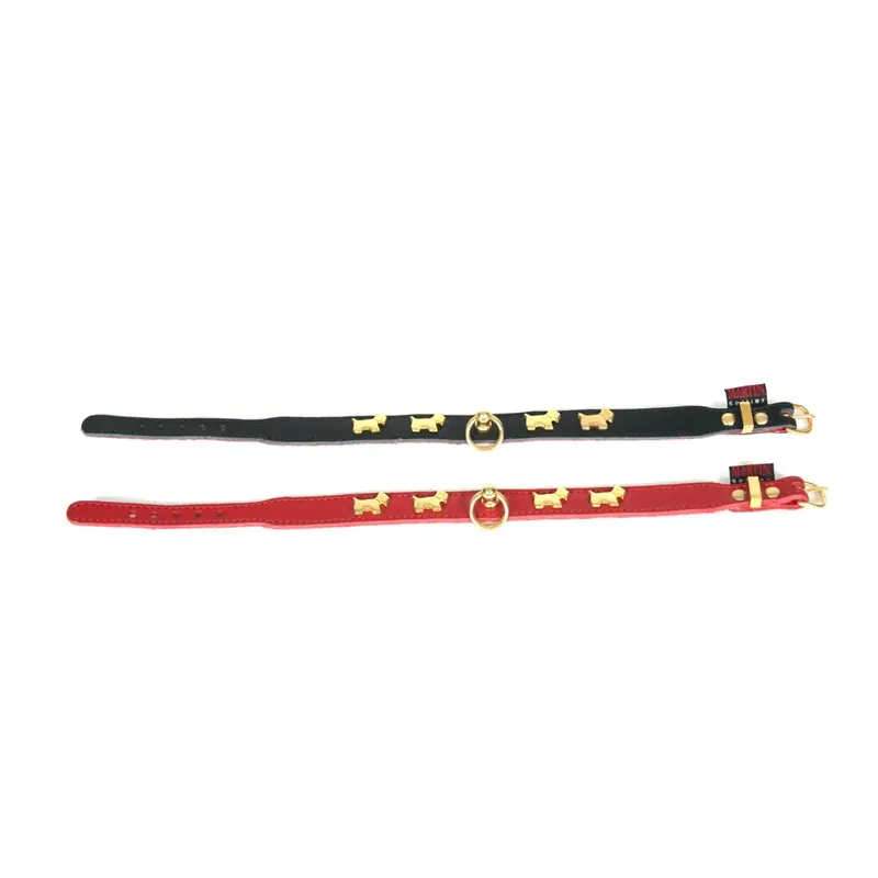 Försäljningssuccé - Hundhalsband Martin Sellier Terrier