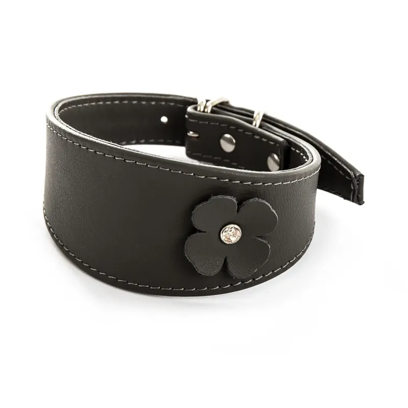 Hundhalsband Sellerie Canine Vendéenne Lev Tref | Mycket uppskattad