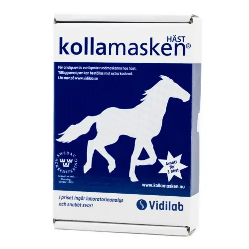 KOLLA MASKEN HÄST | Endast ett fåtal kvar
