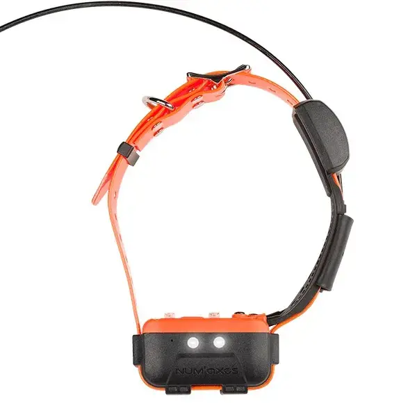 Superpris - Platsband Num’axes Canicom GPS 2