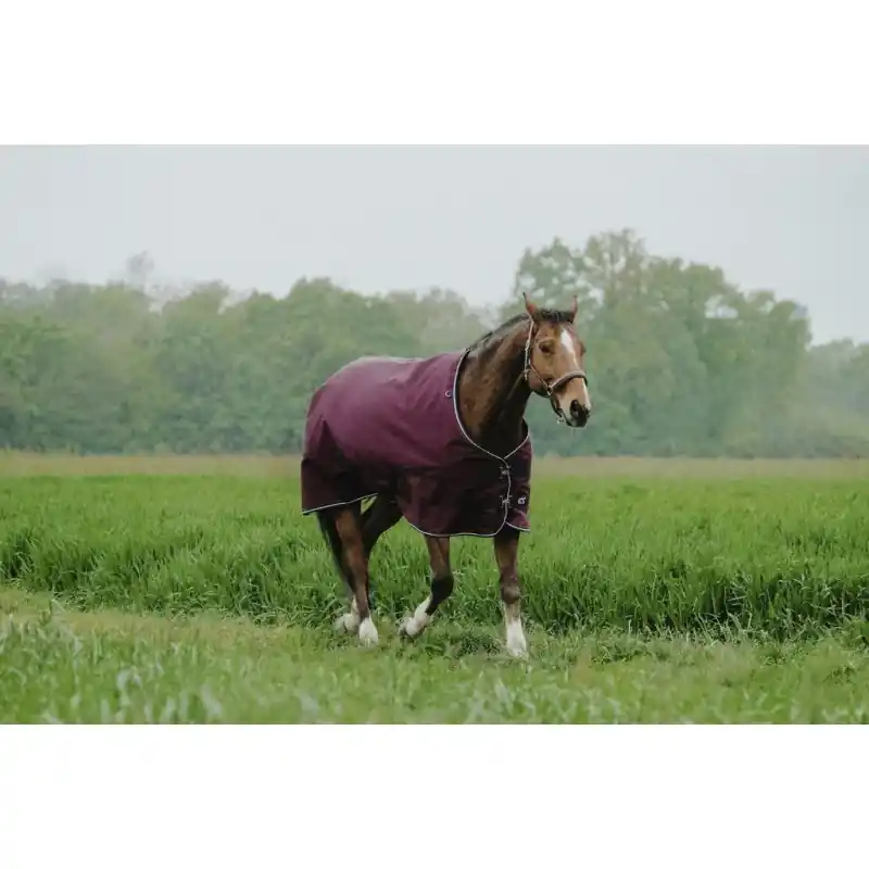 Lågt pris - Övergångstäcke 150g 1200D – TYREX 1200 – EQUITHÈME
