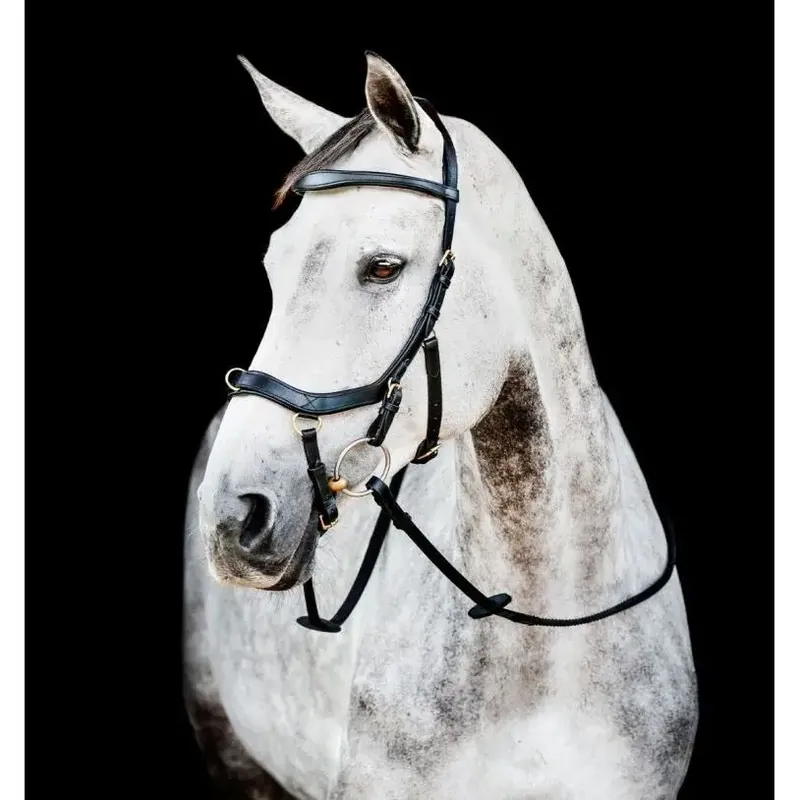 Lågt pris - Anatomiskt utformat ridträns Horseware Micklem 2 Multi