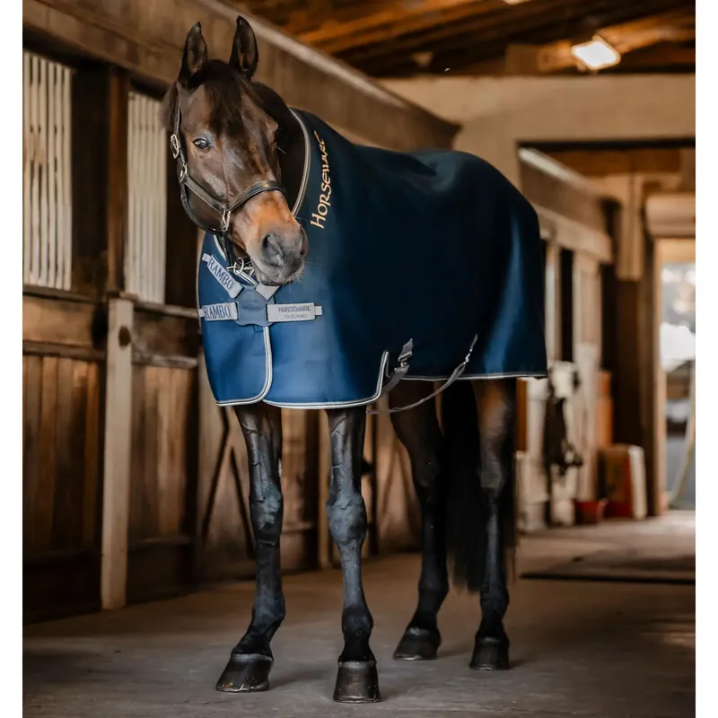 Hästtäcke för utomhusbruk Horseware Rambo Airmax | Snabb frakt