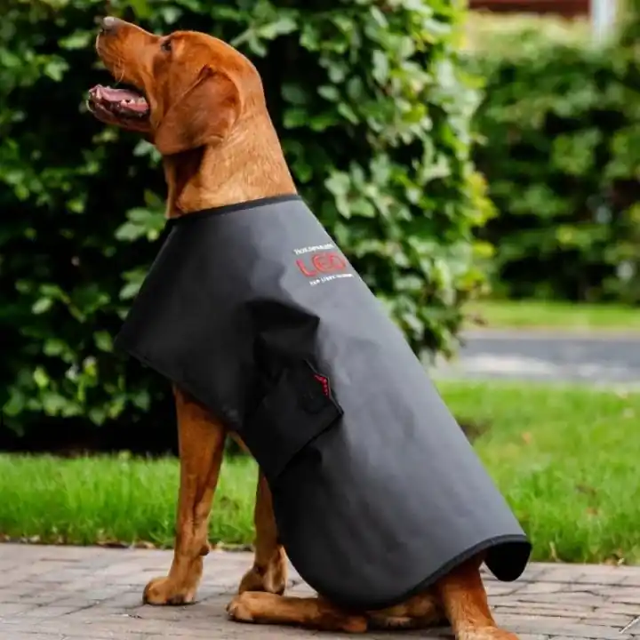 Få kvar i lager | Terapitäcke Hund LED Red Light Therapy Svart