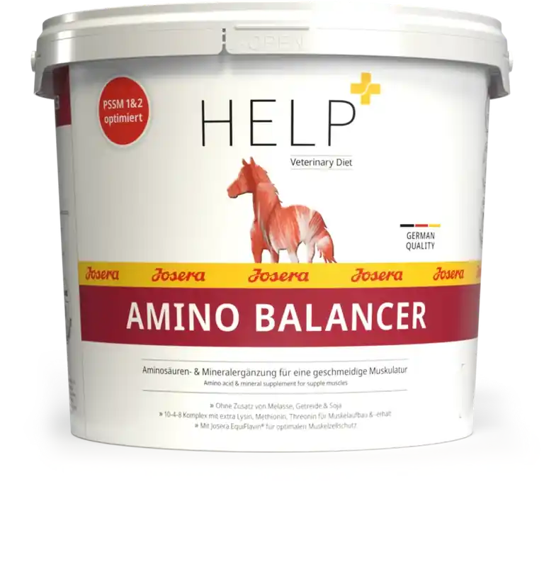 HELP Amino Balancer 4 kg - Prissänkt
