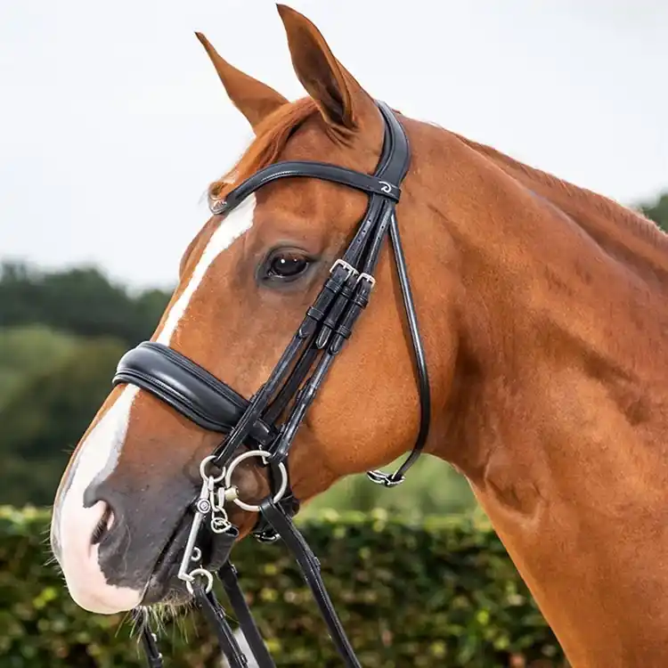 Kandarträns Matte Large Pullbacknosgrimma – Dressage Collection Flat Leather | Snabb frakt
