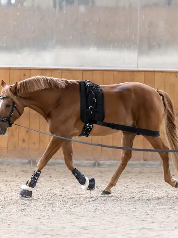 Body Bandage Aktivering Av Bakdel Svart | Köp online