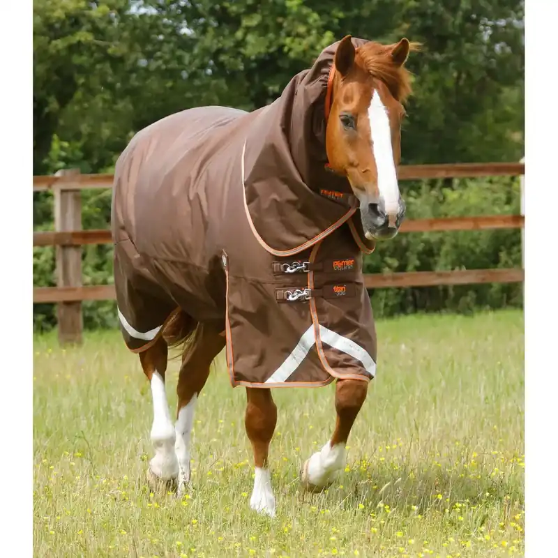 Hästtäcke för utomhusbruk med nackskydd Premier Equine Titan 300 g - Beställ online
