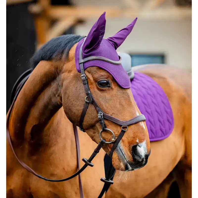 Tidsbegränsat erbjudande - Häst flughatt Horseware Amigo Earnet