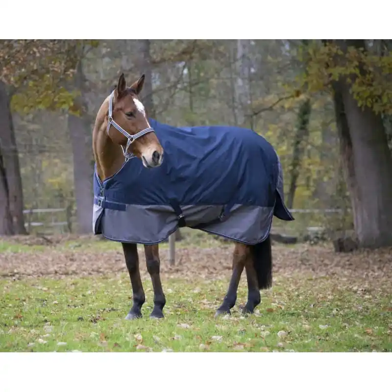 Regntäcke 50g 600D – TYREX 600 – EQUITHÈME | Kanonerbjudande
