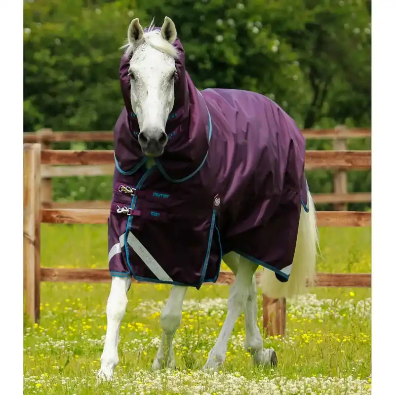 Köp idag | Hästtäcke för utomhusbruk med nackskydd Premier Equine Titan 200 g