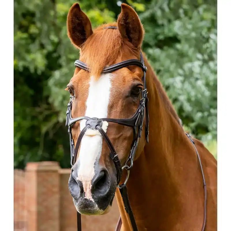 Träns med snara Premier Equine Glorioso | Populär