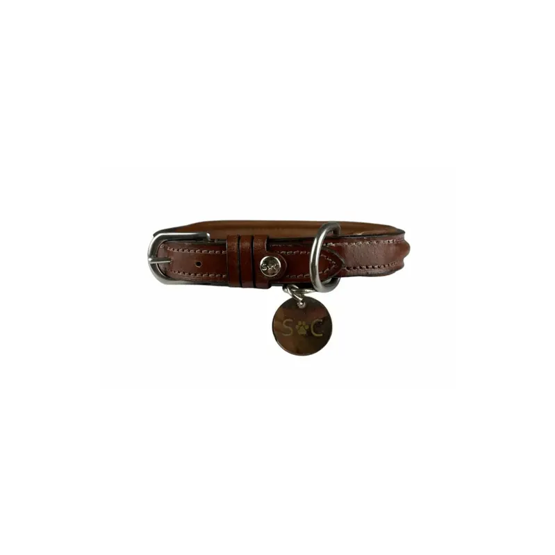 Nytt i webbutiken | Hundhalsband Silver Crown JO