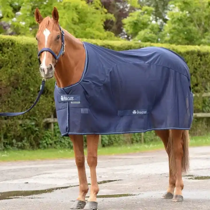 Competition Cooler Marinblå | Bästsäljare