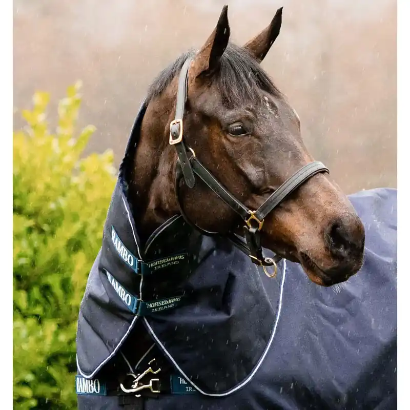 Professionell kvalitet - Hästhalsskydd Horseware Rambo Duo Force 100g