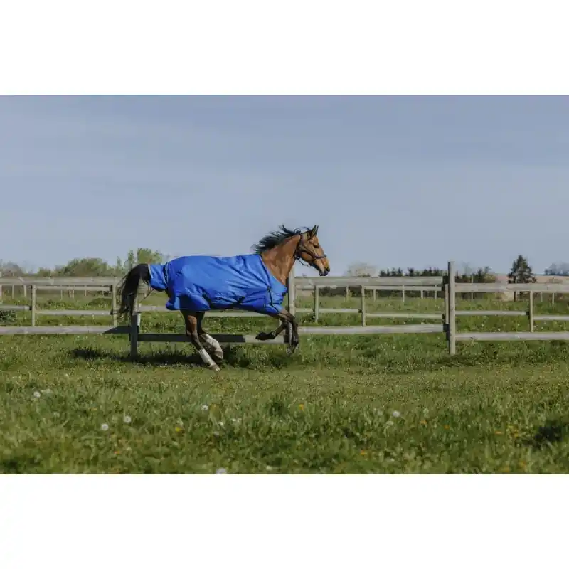 Snabb leverans | Regntäcke 0g 1200D – TYREX Aisance 1200 – EQUITHÈME
