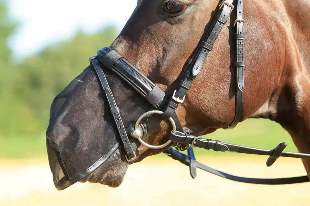 Precis lanserat - FLY PROTECTOR – Nose Protection Full