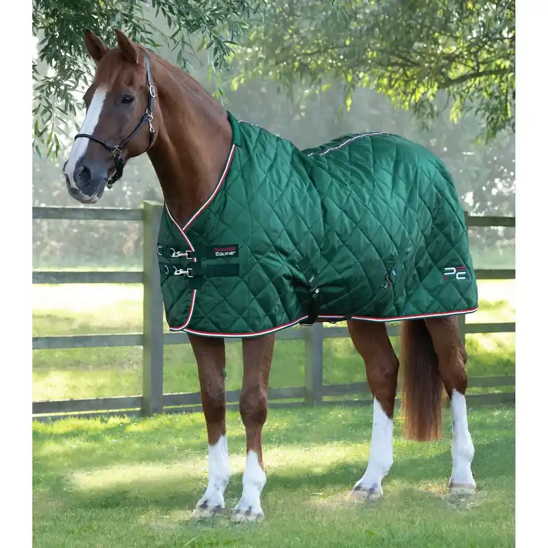 Matta för häststall Premier Equine 100g | Nytt i sortimentet