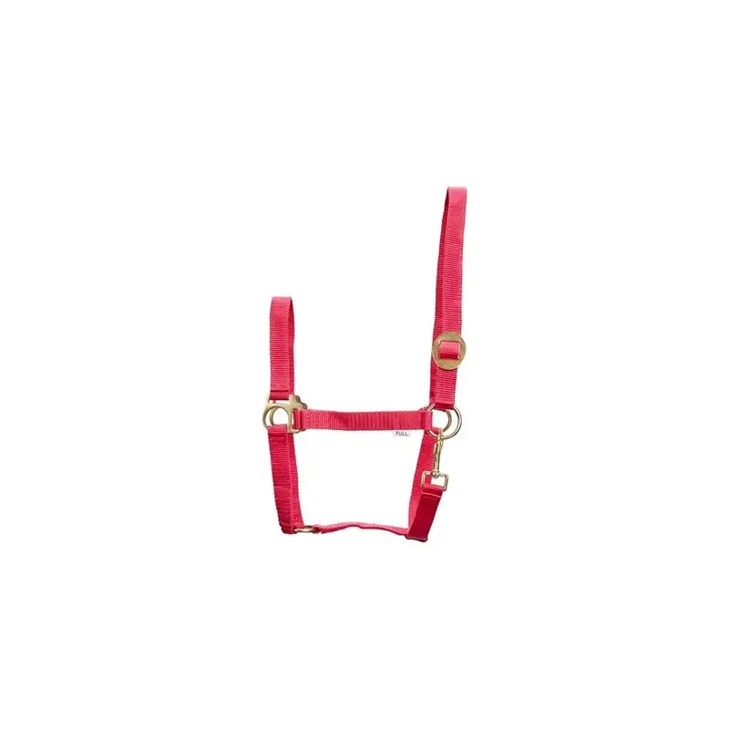 Bara idag - Hästgrimma i nylon HorseGuard