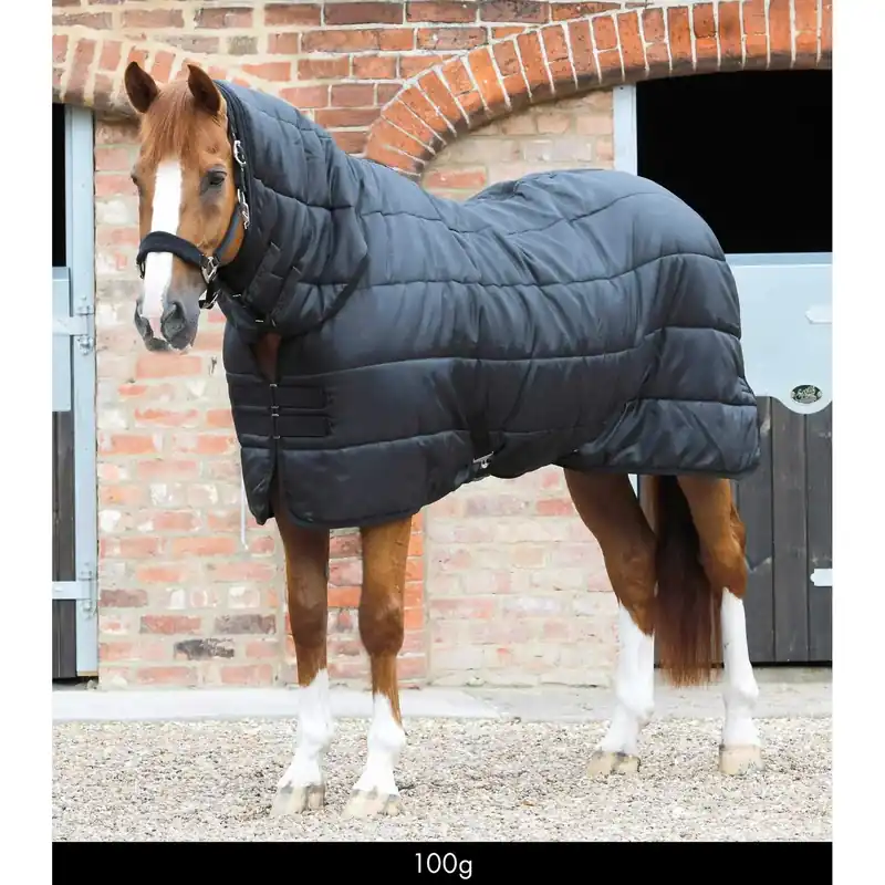 Hästmatta med nackskydd Premier Equine 100 g | Toppsäljare