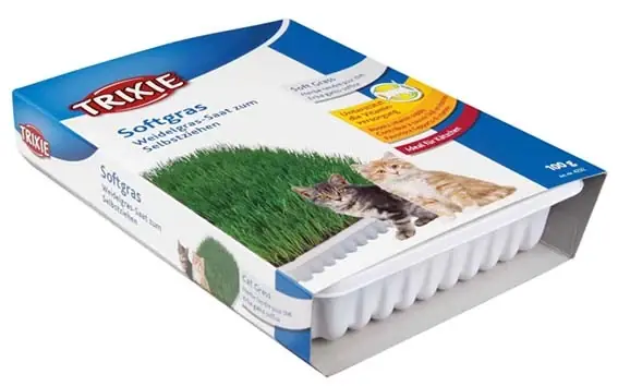 Kattgräs mjukt vitaminberikad med odlingslåda ca 100g | Extra bra pris