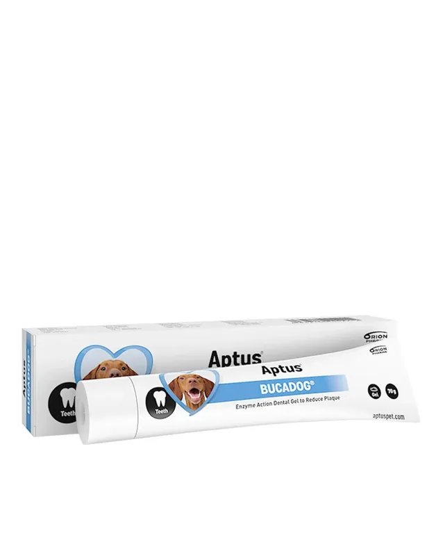 Försäljningssuccé - Aptus® Bucadog® Tandgel 70g