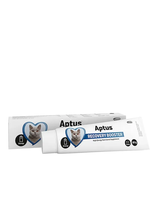 Aptus® Recobooster™ Cat 60g - Toppsäljare