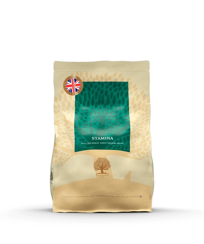 Essential Stamina 2,5 kg | Slutrea
