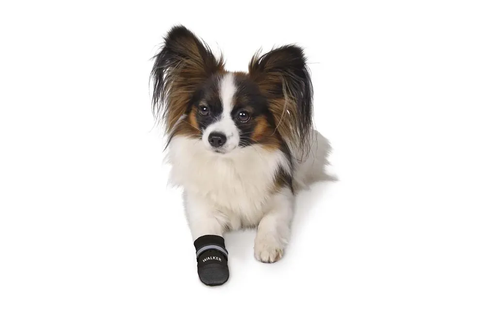Hundskor Walker Active 2-pack Trixie | Favorit hos kunderna